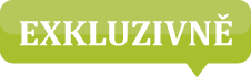 : Nabídka domu v obci Železná na Žatecku